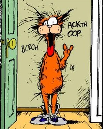 A cat.
